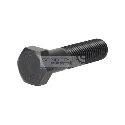 ZESKANTBOUT M16X65 10.9